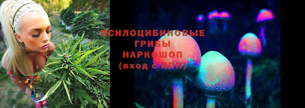 apvp Алзамай