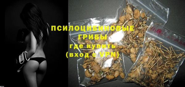 apvp Алзамай