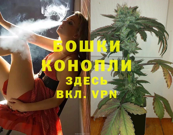 apvp Алзамай