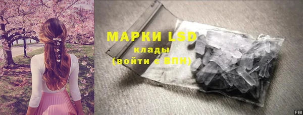 apvp Алзамай