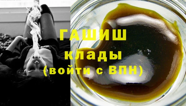 apvp Алзамай